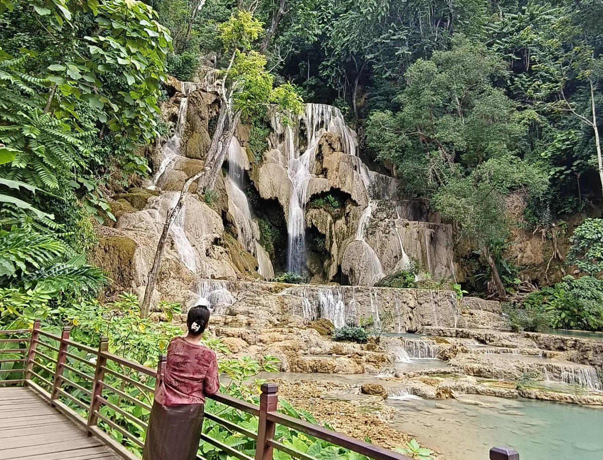 ftnnews's tweet photo. The Moon Bears and Kuang Si Waterfall in Luang Prabang, Laos https://t.co/j04uhnFFnL #MoonBears #KuangSiWaterfall #LuangPrabang #Laos #NatureLovers https://t.co/1B023cWnPH