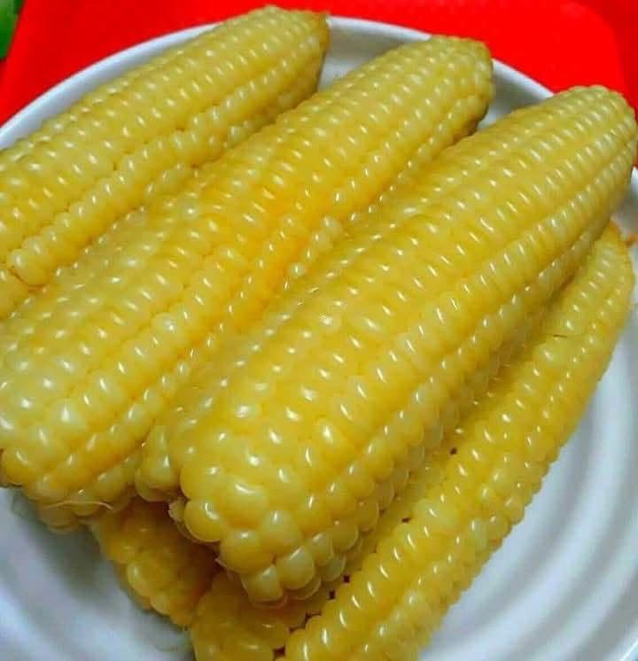 cmainx_'s tweet photo. Which one sweet pass? 🤤

Boiled corn                   Or           Roasted corn https://t.co/XFCixi3LTO