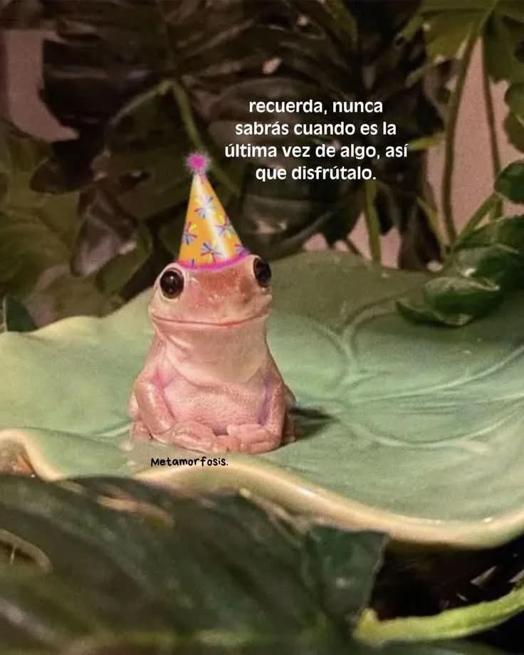 RincnCuriosoo's tweet photo. Consejo del día, raza. 🤓 https://t.co/OdbDR8UA5A
