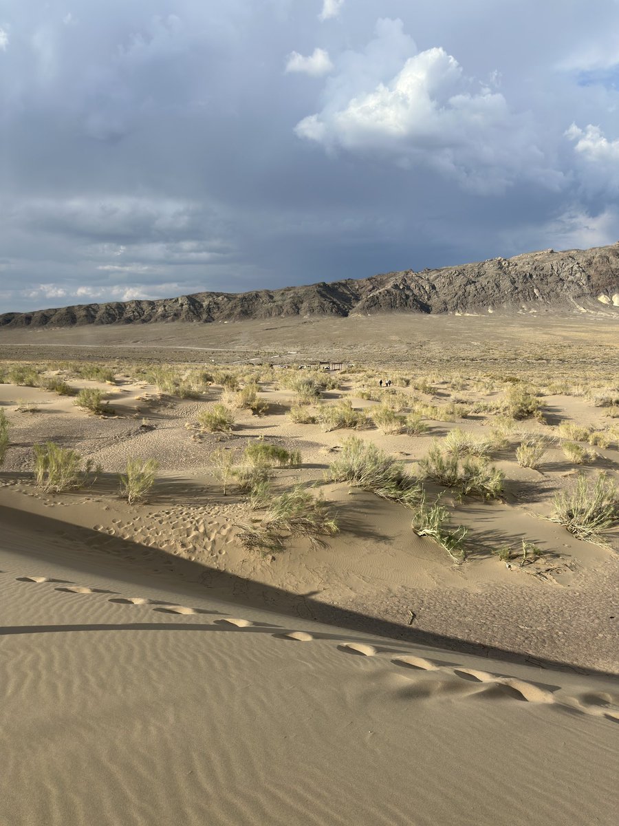 dunromch's tweet photo. Singing Dune | Altyn-Emel, Kazakhstan
#dunromch https://t.co/1jL5LKQqP5