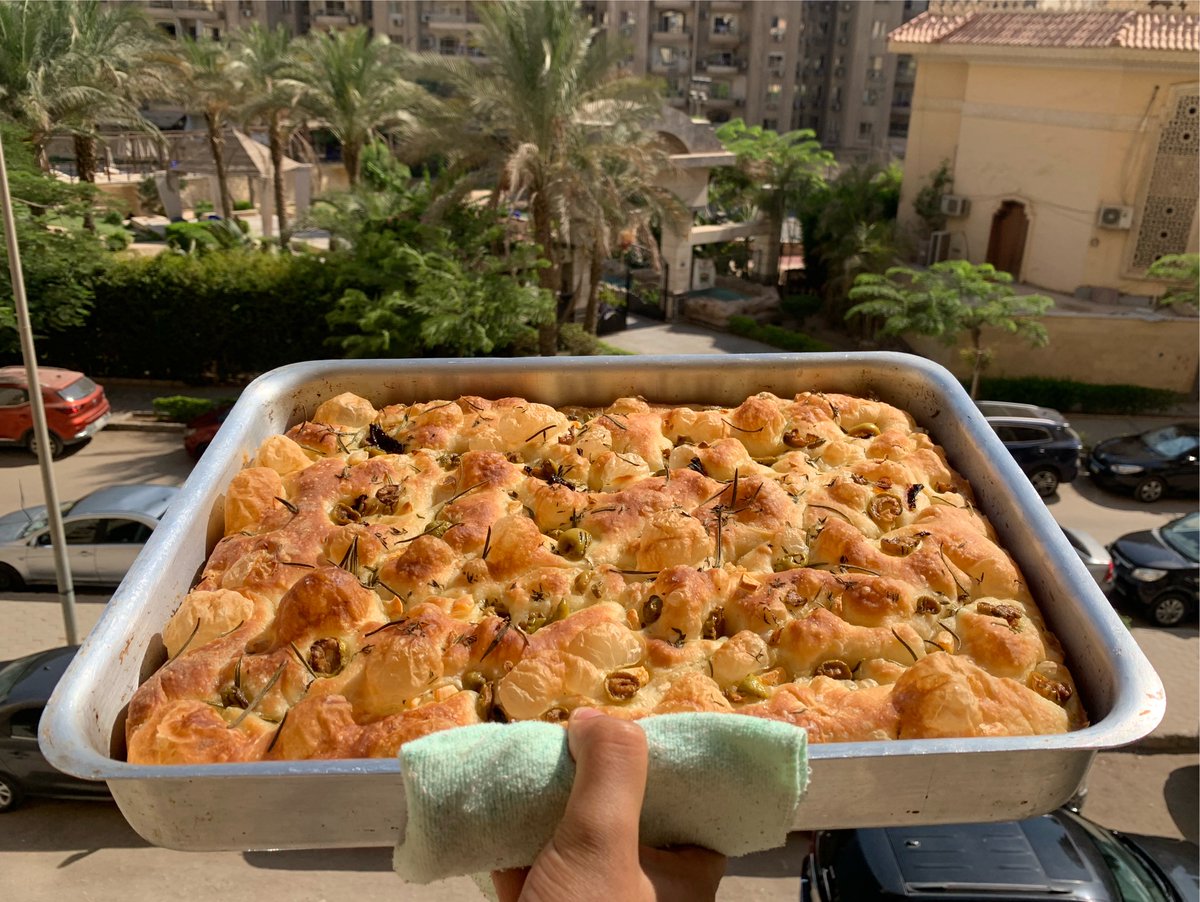 KvasirXVI's tweet photo. بصراحة كان نفسي تشموها وهي طالعة من الفرن https://t.co/W9xTouVUIU