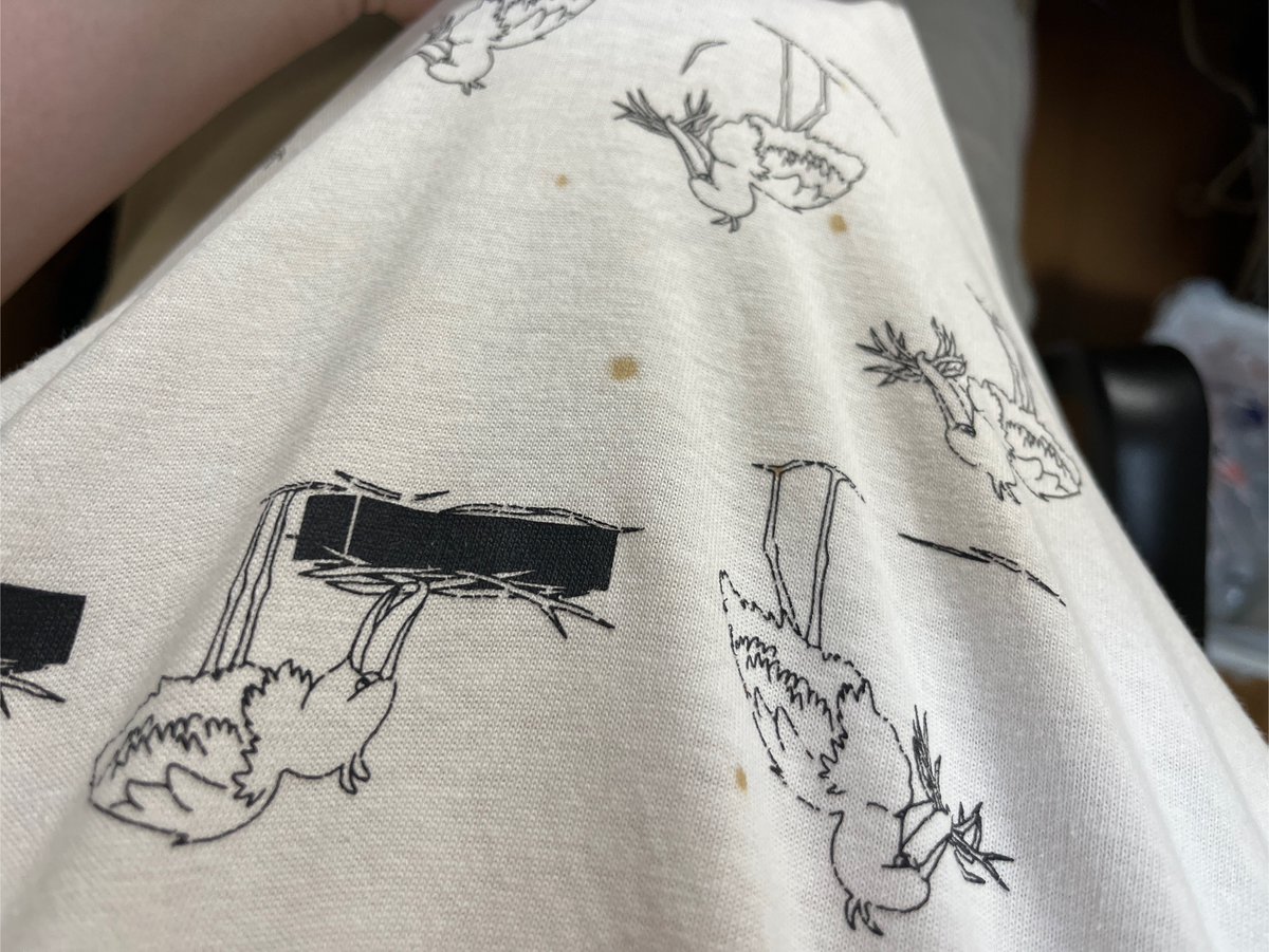 Uyel19's tweet photo. オキニハシビロコウTシャツ終わった https://t.co/u6UTNwuMnL