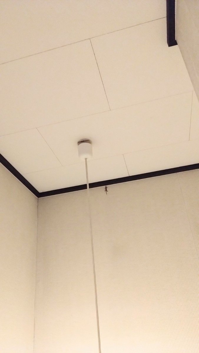 a_machika's tweet photo. 逃がしてやりたいけど、どうにもならーん(父が閉めた窓を開けたので上手いこ脱出してやー) https://t.co/aTC5lm7o0H