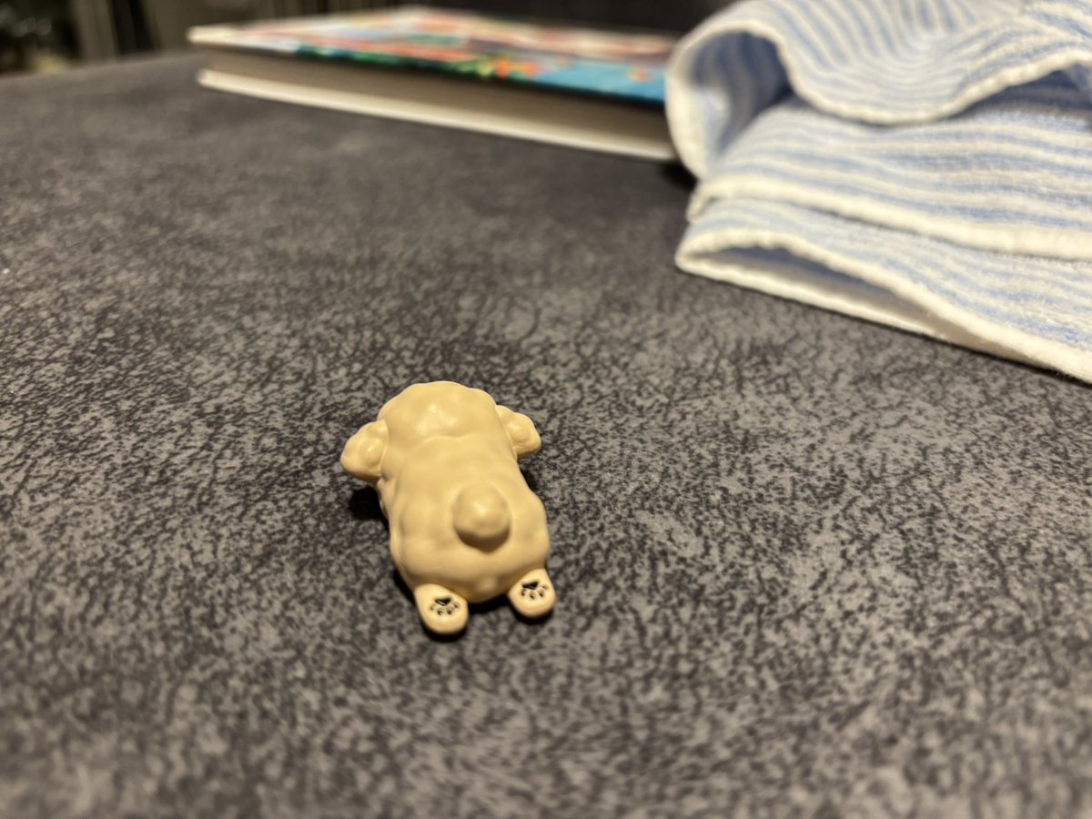 Snufkin44444's tweet photo. 今週も凄まじいタスクの種類と量に押し潰されそうだったし、嫌なことも沢山発生したけれども。

なんとか弾を打ち返し続け、整理を進め、イベント盛り沢山な今日も超えた。

いったん放心状態で湯船につかる。そんな週の折り返し。

物欲は相変わらずだけど、最近の購入品を眺めて少し癒されるなど。 https://t.co/oBXpn3Jjw1