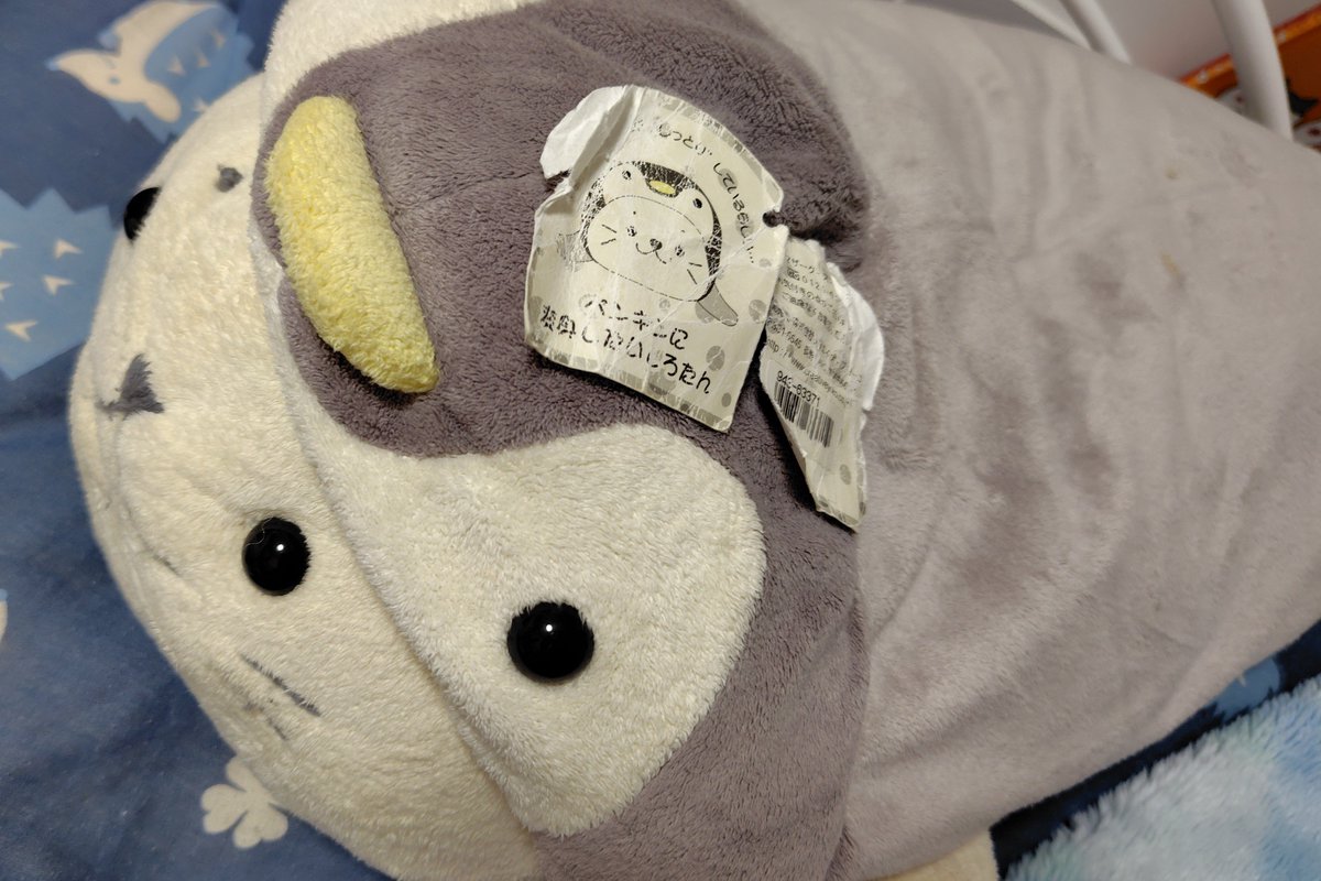 blanche_hiver's tweet photo. うちのしろたん結構年代物なので、今まで紙タグ取れずに付いてたのが奇跡ではある
(お洗濯してあげてないのがバレた…) https://t.co/v7M19A39m7