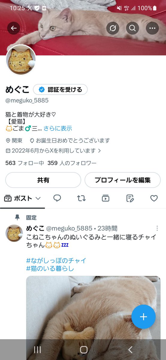 meguko_5885's tweet photo. 今年は風船が飛ばなかったのですが…💦

／
今日8/5は
チャイちゃん🐱・飼い主の誕生日🎂🎉
ごまくん🐱の #うちの子記念日 🎂🎉
＼

チャイちゃん　LEVEL5
飼い主　LEVEL43

今年もごまくん🐱とチャイちゃん🐱を中心に家族で楽しく過ごしたいと思います🍀

#しましましっぽのごま
#なかしっぽのチャイ https://t.co/K20ci3qqTK