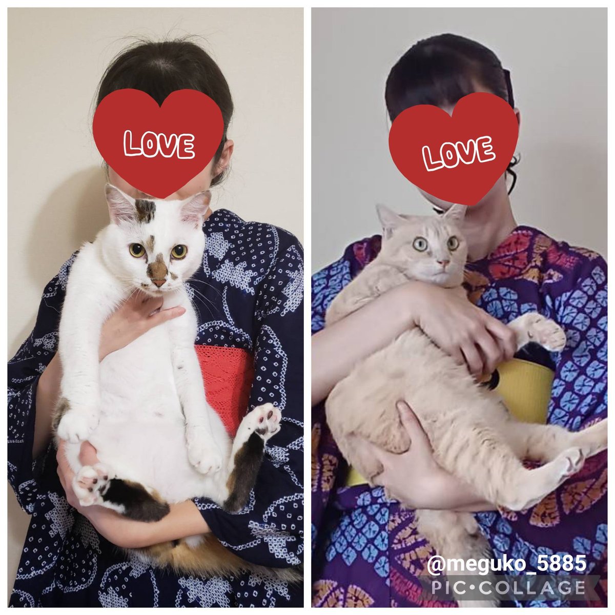 meguko_5885's tweet photo. 今年は風船が飛ばなかったのですが…💦

／
今日8/5は
チャイちゃん🐱・飼い主の誕生日🎂🎉
ごまくん🐱の #うちの子記念日 🎂🎉
＼

チャイちゃん　LEVEL5
飼い主　LEVEL43

今年もごまくん🐱とチャイちゃん🐱を中心に家族で楽しく過ごしたいと思います🍀

#しましましっぽのごま
#なかしっぽのチャイ https://t.co/K20ci3qqTK