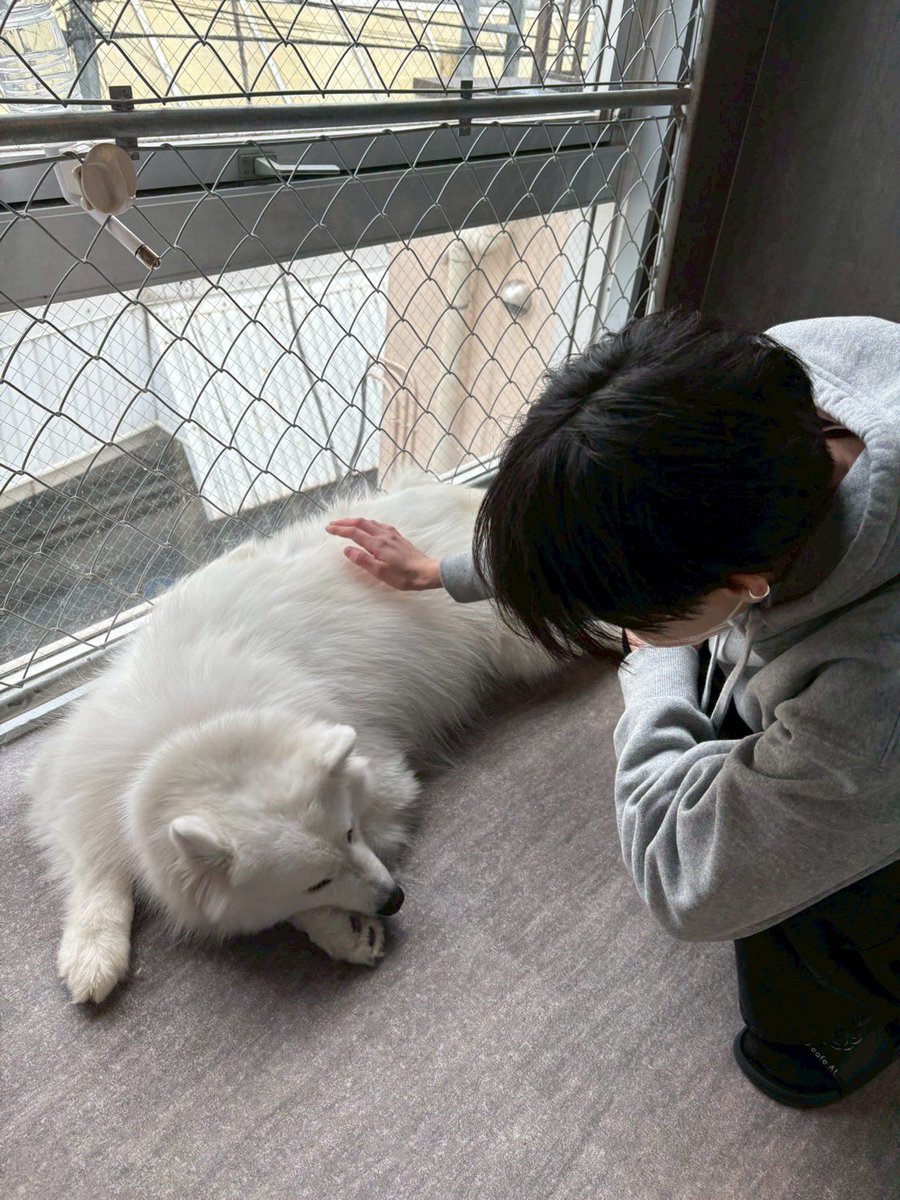 rmsabba's tweet photo. #レズビアンさんと繋がりたい
#wlw https://t.co/NrB2gSfgeO