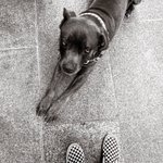 Photo by vittorio bongiorno (@imnly)