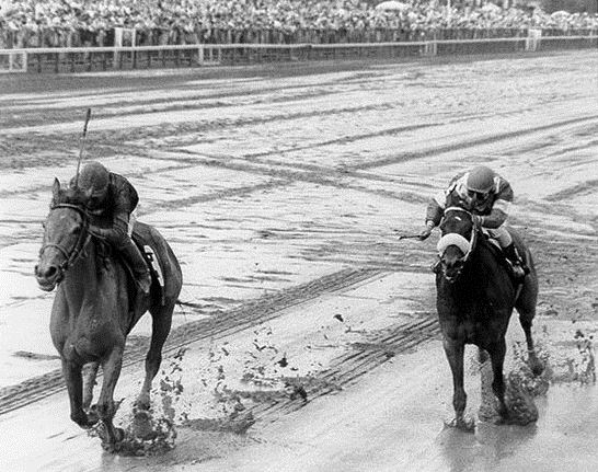 jfarache's tweet photo. 06/08/1988 la yegua PERSONAL ENSIGN se enfrentó a los machos y les ganó el Whitney Handicap (G1) en Saratoga. La última yegua en hacerlo en esta carrera. Una de las mejores de la historia en USA, que se retiró invicta en 13 actuaciones.

El sábado lo intentará la yegua NITROGEN. https://t.co/68kqN2XHmK