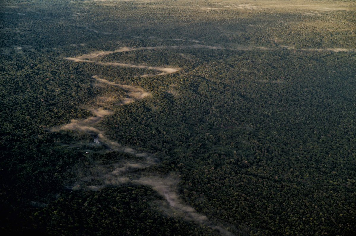 federicorios's tweet photo. Arriesgando sus vidas en un operativo contra la minería ilegal de oro en uno de los lugares mas remotos, aislados y sagrados de la Amazonía colombiana.

En el corazón de la selva Amazonica colombiana se encuentra el Parque Nacional Natural Río Puré.

Abro hilo 🧵 https://t.co/LjddduxvI4