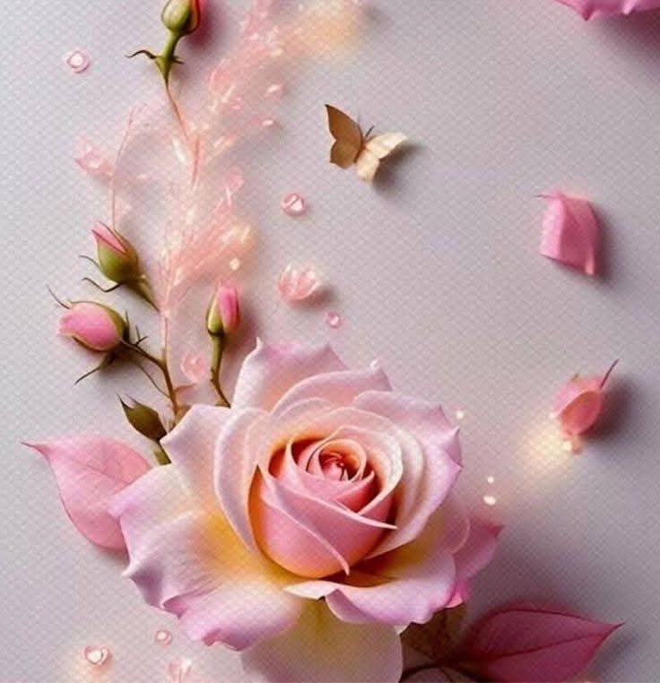 AlOthman_F's tweet photo. https://t.co/Qm4Lno8BQ0