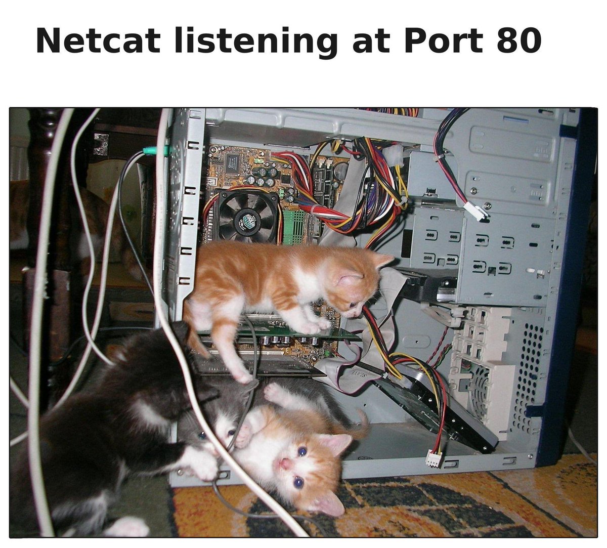 hackinarticles's tweet photo. Pic of the Day
#infosec #cybersecurity #cybersecuritytips #pentesting #cybersecurityawareness https://t.co/W6vfqW37aR
