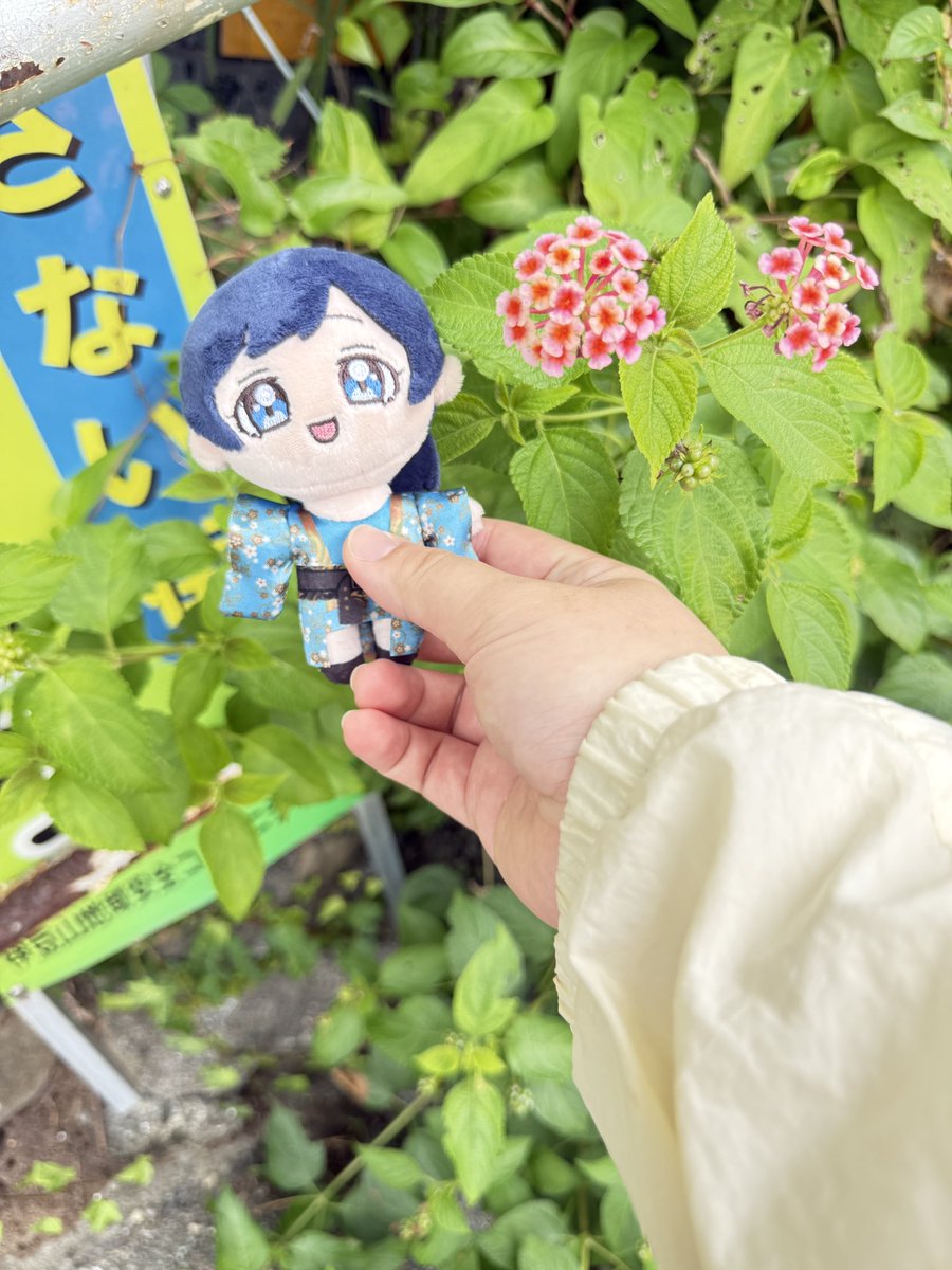 Yuu_Hashiba's tweet photo. 熱海🎆 https://t.co/JO4SmBkSEK