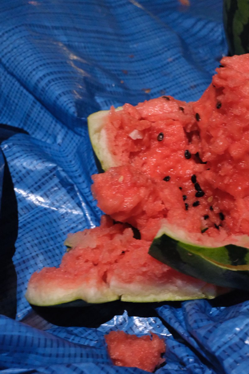 Ay_a289's tweet photo. なんかとっても夏らしいことできた🍉 https://t.co/AKw35TI9Lf