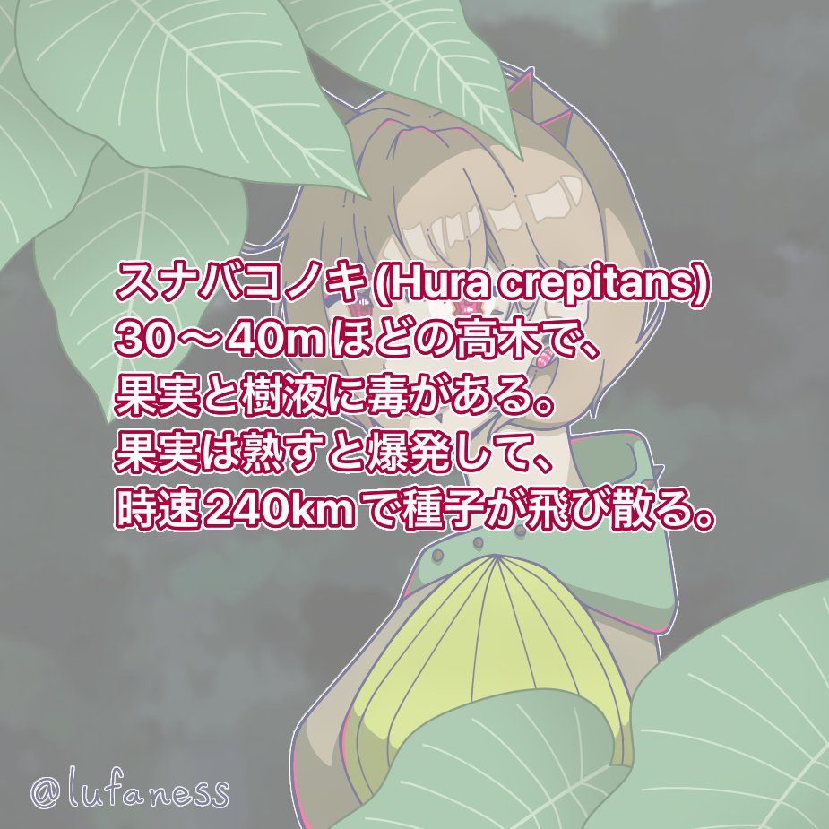 lufaness's tweet photo. スナバコノキ　擬人化
#絵描きさんと繋がりたい #擬人化 https://t.co/FoaoPU5P9x