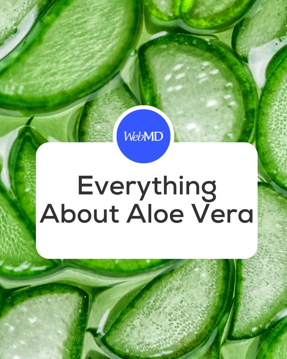 WebMD's tweet photo. Aloe vera is a medicinal plant that grows in hot climates such as California, New Mexico, and the Caribbean. It contains more than 75 active ingredients, including enzymes, amino acids, vitamins, and minerals, some of which could make it useful for treating diseases. https://t.co/ZLIEJIPHtN