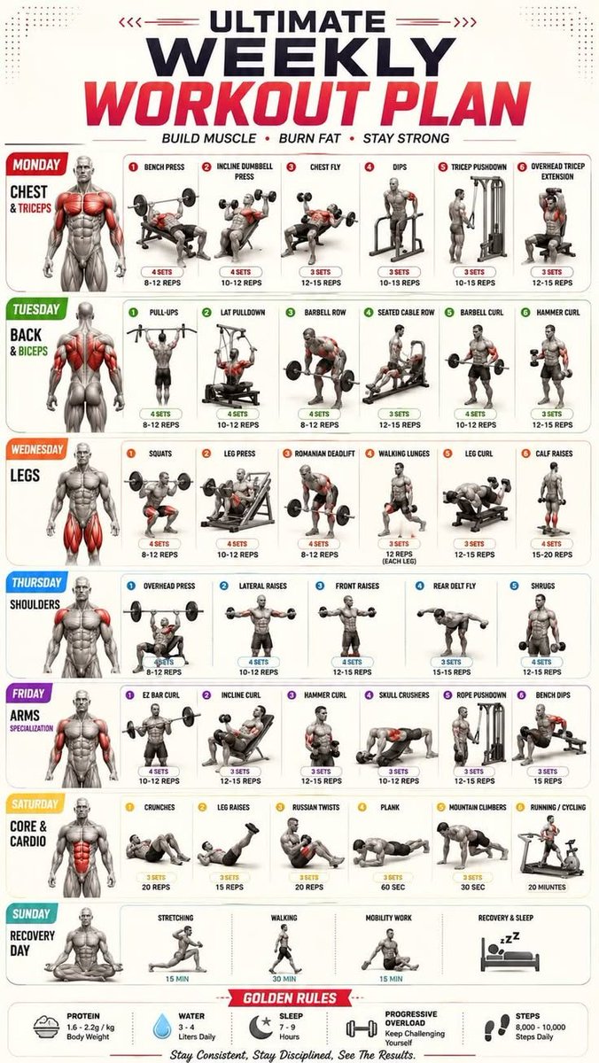 FitnessGuide0's tweet photo. Weekly Workout Plan to Build Muscles, Burn Fat, and Stay Strong https://t.co/9pJTeC9nPV