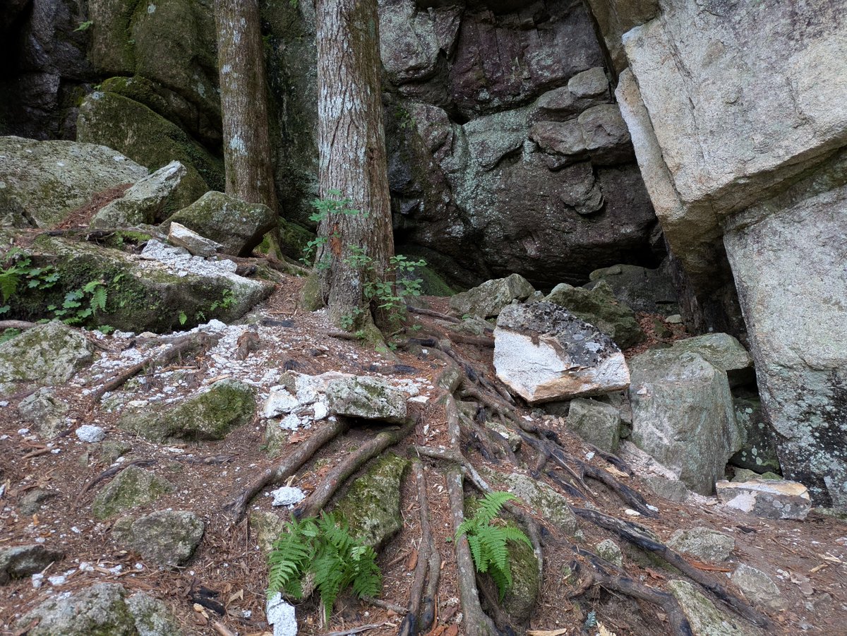 ki_no_pi_'s tweet photo. 瑞牆山、カサメリ沢のモツランドで落石があった模様
結構でかい岩が落ちたらしい https://t.co/1U2spbsnY2