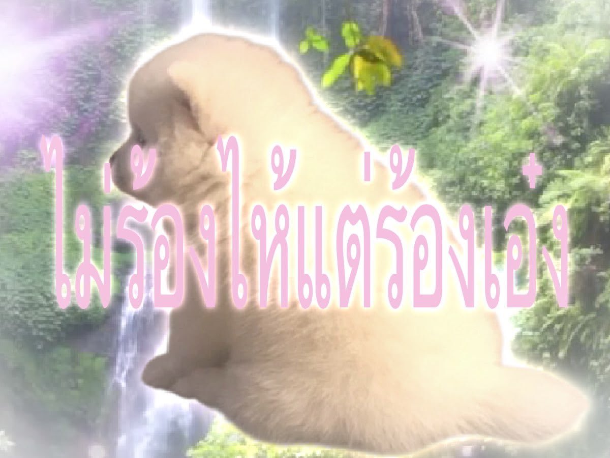 chocmintsweet's tweet photo. เดือนเกิดที่แย่ตั้งแต่สี่วันแรกให้เลน https://t.co/PwEm3gqnDf
