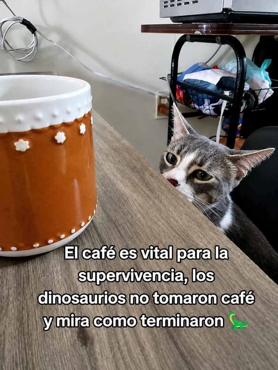 RincnCuriosoo's tweet photo. Real. https://t.co/Awff35pndq