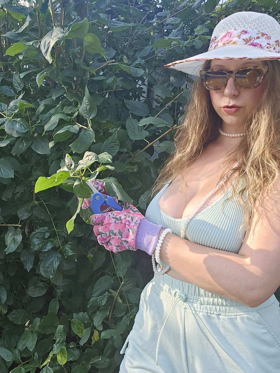 Melody69Lynn's tweet photo. How do you like your bush? 
Trimmed? https://t.co/SVVEgPk1Dd