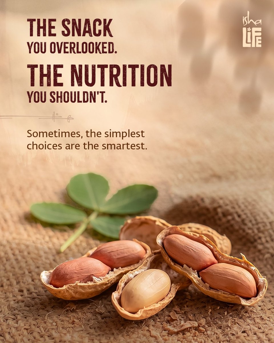 Ishalifeindia's tweet photo. 🥜 In a world of endless choices, some foods have quietly stood the test of time.

Groundnuts bring together wholesome nutrition, satisfying taste, and everyday convenience—proof that the simplest foods can nourish us the best.

🌿 Carry them with you. Enjoy them anytime. https://t.co/s8ZdySZ4kq