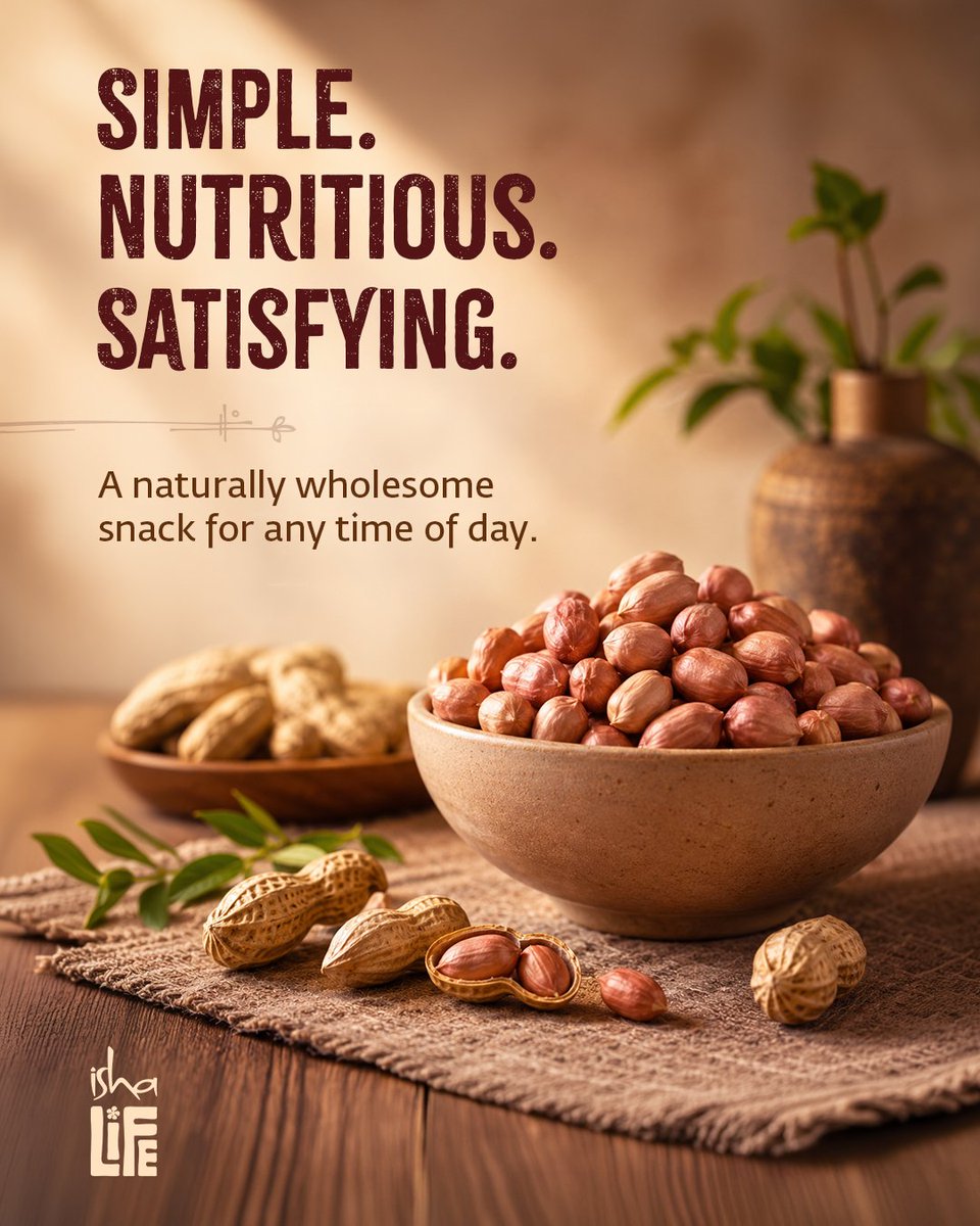Ishalifeindia's tweet photo. 🥜 In a world of endless choices, some foods have quietly stood the test of time.

Groundnuts bring together wholesome nutrition, satisfying taste, and everyday convenience—proof that the simplest foods can nourish us the best.

🌿 Carry them with you. Enjoy them anytime. https://t.co/s8ZdySZ4kq