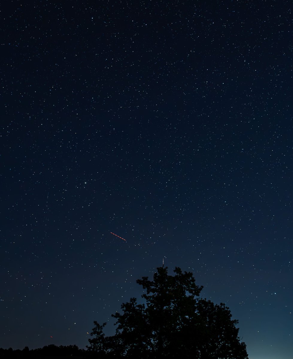 dolpdjwytvysl's tweet photo. Enjoying a quiet night outdoors, just me and the stars. Perfect way to unwind. https://t.co/MXN36X1ovy