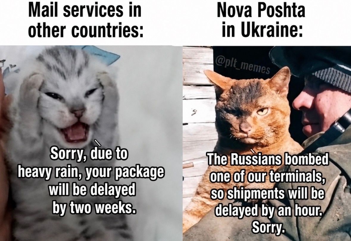 Oksii33's tweet photo. Ukrainian customer service is built differently😌 https://t.co/Jh9NAffqqC
