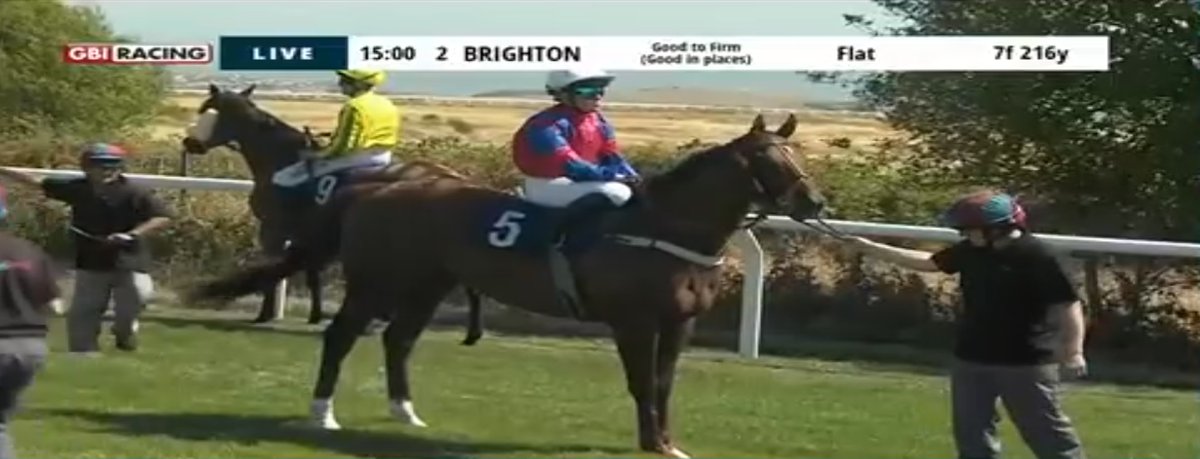 rebelsart's tweet photo. 🏆Winner🏆
Results of the 15:00 Classified Stakes at Brighton @BrightonRace 🏇🇬🇧 
🥇River Wharfe
J: Molly Gunn @molly_gunn 
T: Tony Carroll @AWCarrollracing 
Great ride Molly‼️💪👊
#winner #Brighton #horseracing #congratulations @NeilTho02681313 @Racingdauber @titchy34 @chipexpress @ConchitaMTurf @akira96643563