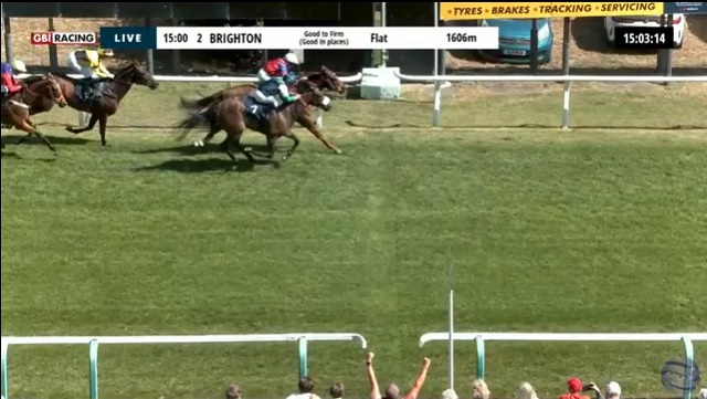 rebelsart's tweet photo. 🏆Winner🏆
Results of the 15:00 Classified Stakes at Brighton @BrightonRace 🏇🇬🇧 
🥇River Wharfe
J: Molly Gunn @molly_gunn 
T: Tony Carroll @AWCarrollracing 
Great ride Molly‼️💪👊
#winner #Brighton #horseracing #congratulations @NeilTho02681313 @Racingdauber @titchy34 @chipexpress @ConchitaMTurf @akira96643563