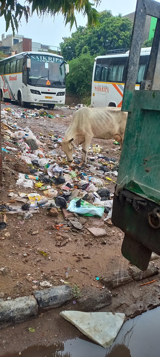 vijaydua46's tweet photo. @AgraNagarNigam Green agra ,clean agra ( open plot filled with garbage near tender heart school west arjun nagar Agra) https://t.co/in9qvWGapM