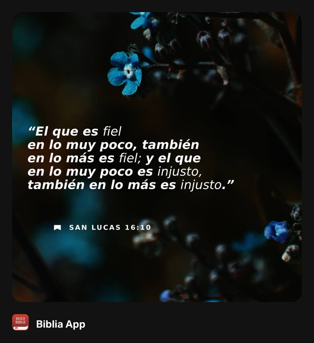 YoyoBarrientos's tweet photo. https://t.co/QDaSSuvSVV