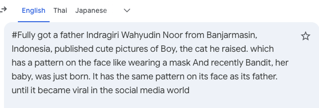Gabanideveloper's tweet photo. The name is bandit you can see for this tweet is the cat as a baby $bandit https://t.co/fcEDm4JdCu