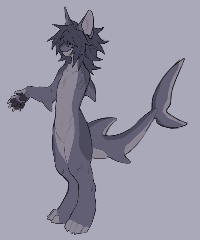 decomposerval's tweet photo. unconventional shark gang https://t.co/pnTcWbjW1P