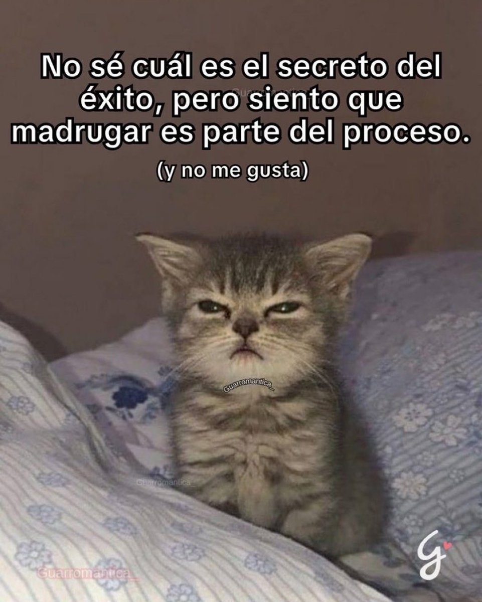 Guarromantico_'s tweet photo. La vdd. https://t.co/eHidAIYpsd
