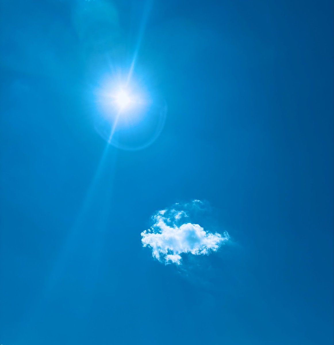 TipDuval's tweet photo. #vss365 #poetry #chaos
 
A lonely little cloud
flies high above the summer sea
and tries to keep me company
drunk on the blue mermaid’s song
navigating by shadows  
without a compass or map
as the chaos of night descends
to come upon this wild shore
in waves of longing forevermore