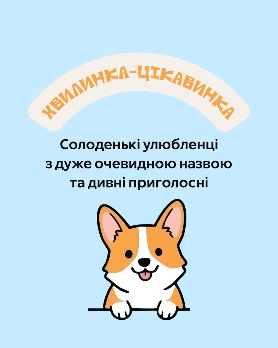 pidpil_hum's tweet photo. Це хвилинка-цікавинка про собачок!
Корґі заполонили серця мільйонів людей, але чи знали ви, що це валлійська порода і, відповідно, слово також валлійське? А це слово може познайомити нас із дуже цікавим явищем валлійської мови. Яким? Зараз розкажемо. https://t.co/sDT25VQfsu