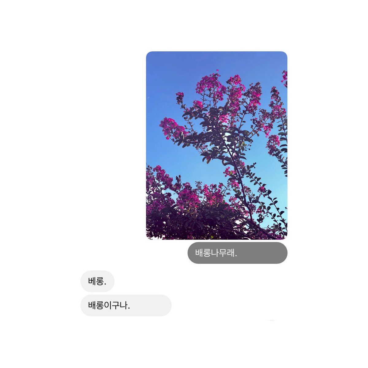 Mi3xX__'s tweet photo. 메롱. https://t.co/o9Re4tcIU8