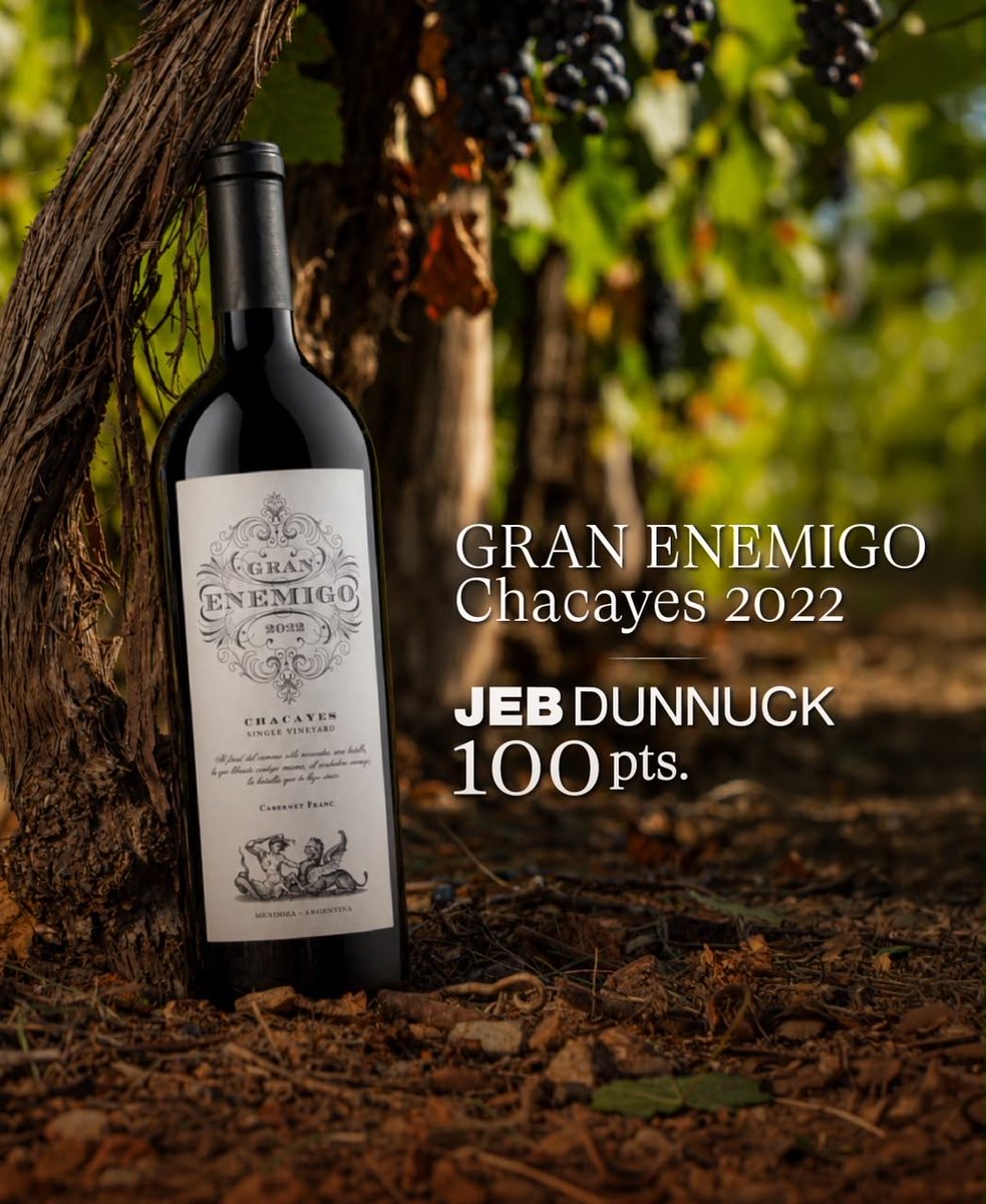 UniversoVigil's tweet photo. ¡Enorme alegría! Gran Enemigo Cabernet Franc Los Chacayes Single Vineyard 2022 recibió 100 puntos de Jeb Dunnuck. Un reconocimiento a la identidad de Los Chacayes, cosecha tras cosecha. Gracias @jebdunnuck @virginieboone https://t.co/VTJJ6nBaVO
