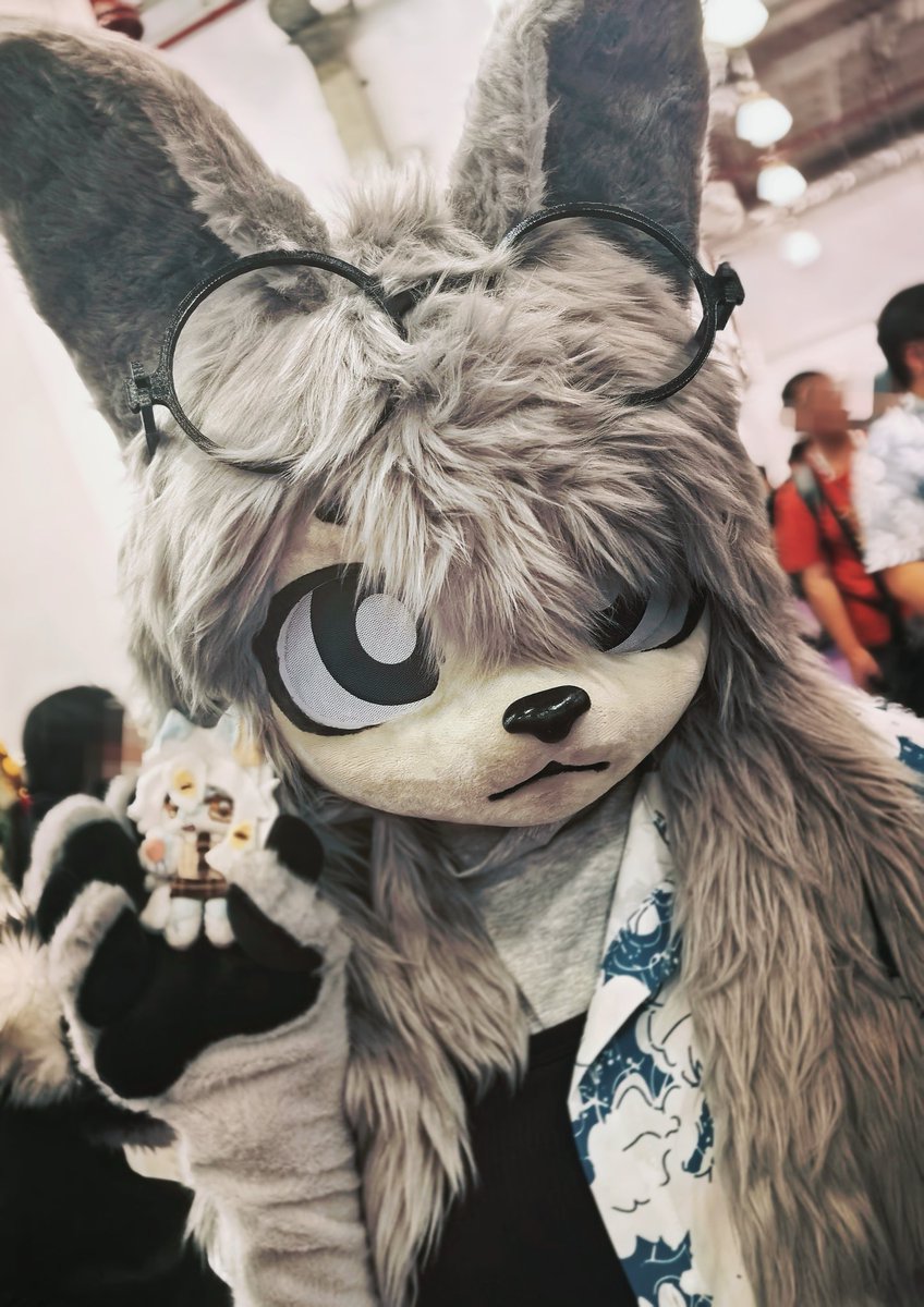 Foxpool3 tweet picture