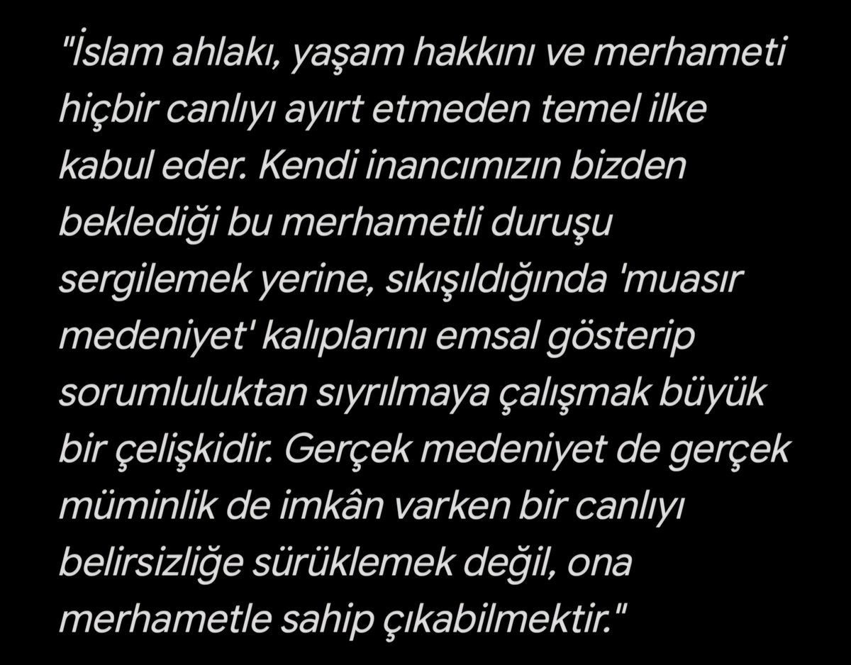 Val_Joens's tweet photo. Kendini savunamayan, savunamayacak olan o dilsiz canlar için sessiz bir beddua hakkım var, hakkımız var. https://t.co/8ukfc7r2zr