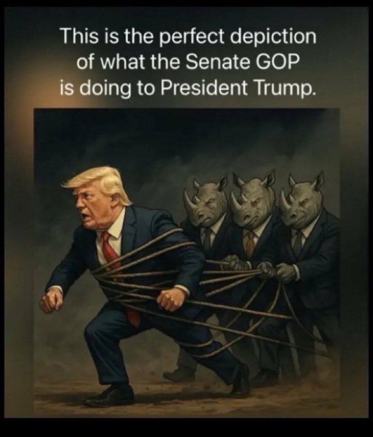 Redhead4645's tweet photo. What the hell is wrong with @LeaderJohnThune and the rest of the weak senators. 
You also hate .@potus because you know he is stopping Fraud and abuses. 
If you listen to your constituents you would know they want “Save America Act” passed…. But you are listening to money 💵 https://t.co/Bx2u8oCQDj