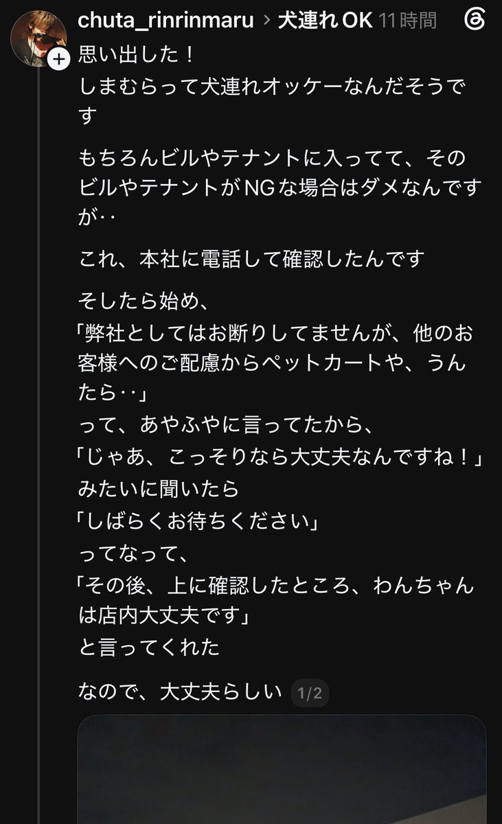 romasa_rina's tweet photo. theradsでしまむら ペット入店可能っての流れてきたんだけど、本社確認済みって本当なん？ 見たことないけどな👀たまたまかもだけど。流石に服屋に愛犬連れて行こうとはならないや🐶ペット可のカフェとかホテルは有難いとしても。 #しまむら  #ペット可  #しまむらグループ  #愛犬 https://t.co/42F0kRU7Rf