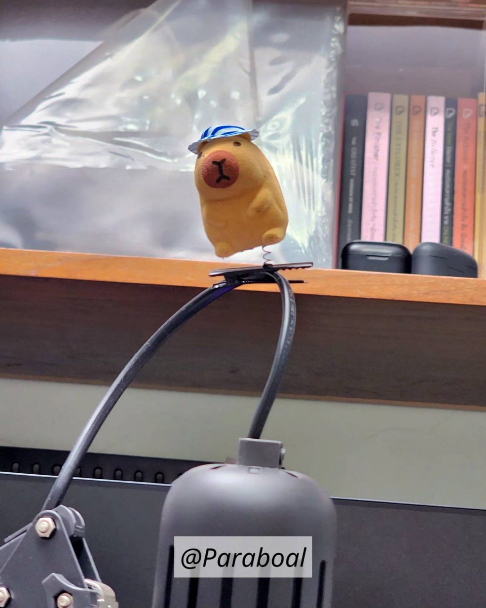 Paraboal's tweet photo. ซื้อมาทำไม55555