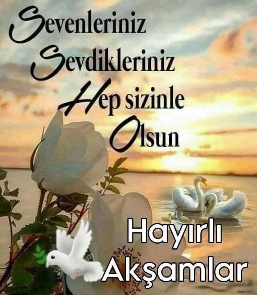 oz_aksl's tweet photo. https://t.co/qTo1RyTCEt