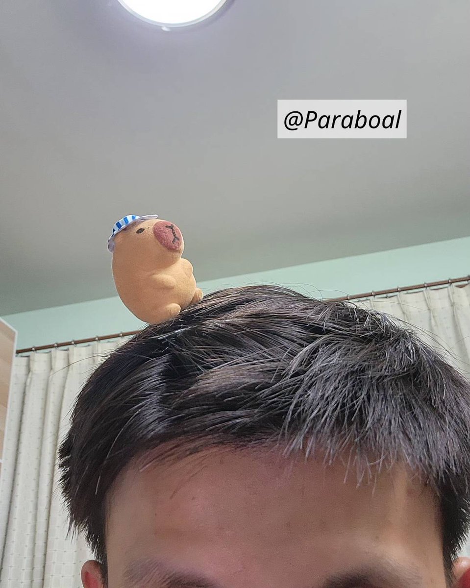 Paraboal's tweet photo. ก็พอหนีบผมได้อยู่แหละ
https://t.co/G2fTQCUQrE https://t.co/6fmWJ7N9Kt