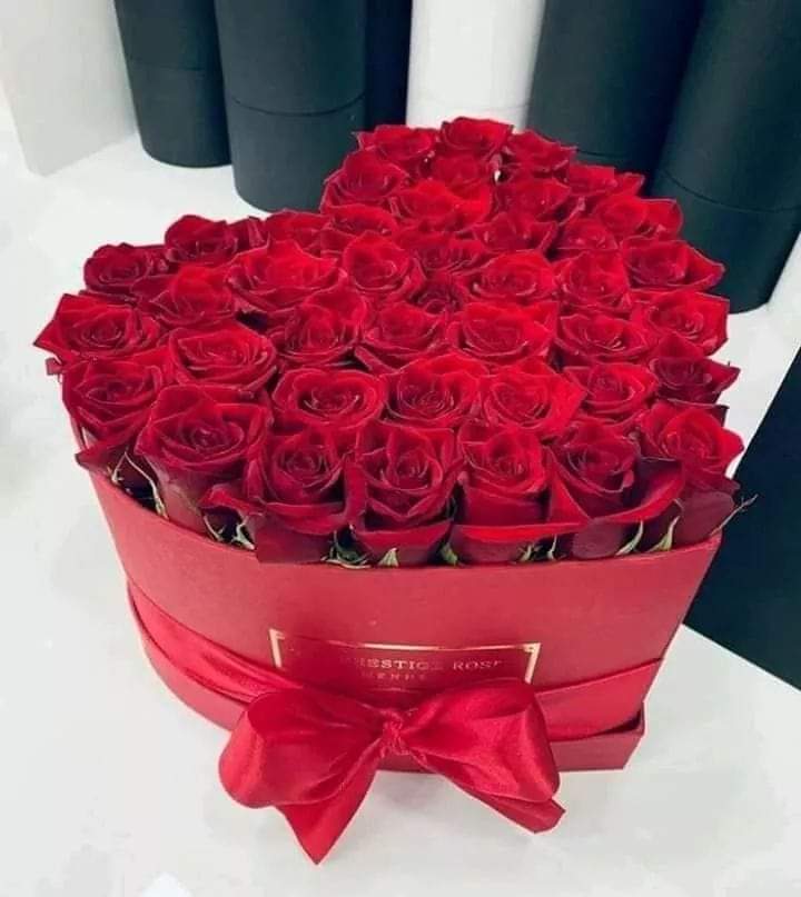 Carlos57211130's tweet photo. @Maeve_duval @Maeve_duval 💋📸💍 https://t.co/2nDrB1dmB9