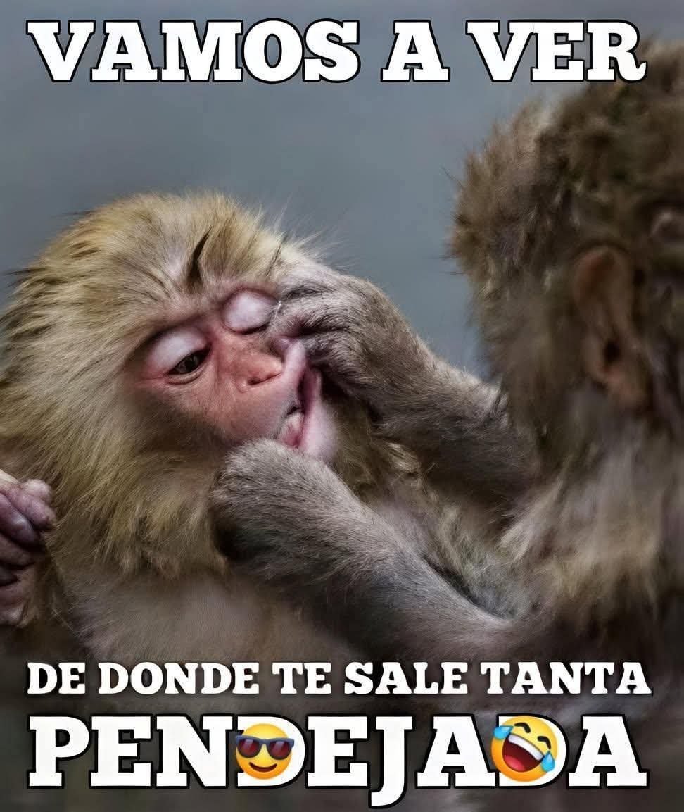 antiprianista76's tweet photo. @DnielleCabrera Malditas drogas!!!
Este imbécil unineurona ya se descerebro con tanta chingadera que se mete, y al parecer es contagioso!!! https://t.co/28SE442CKf